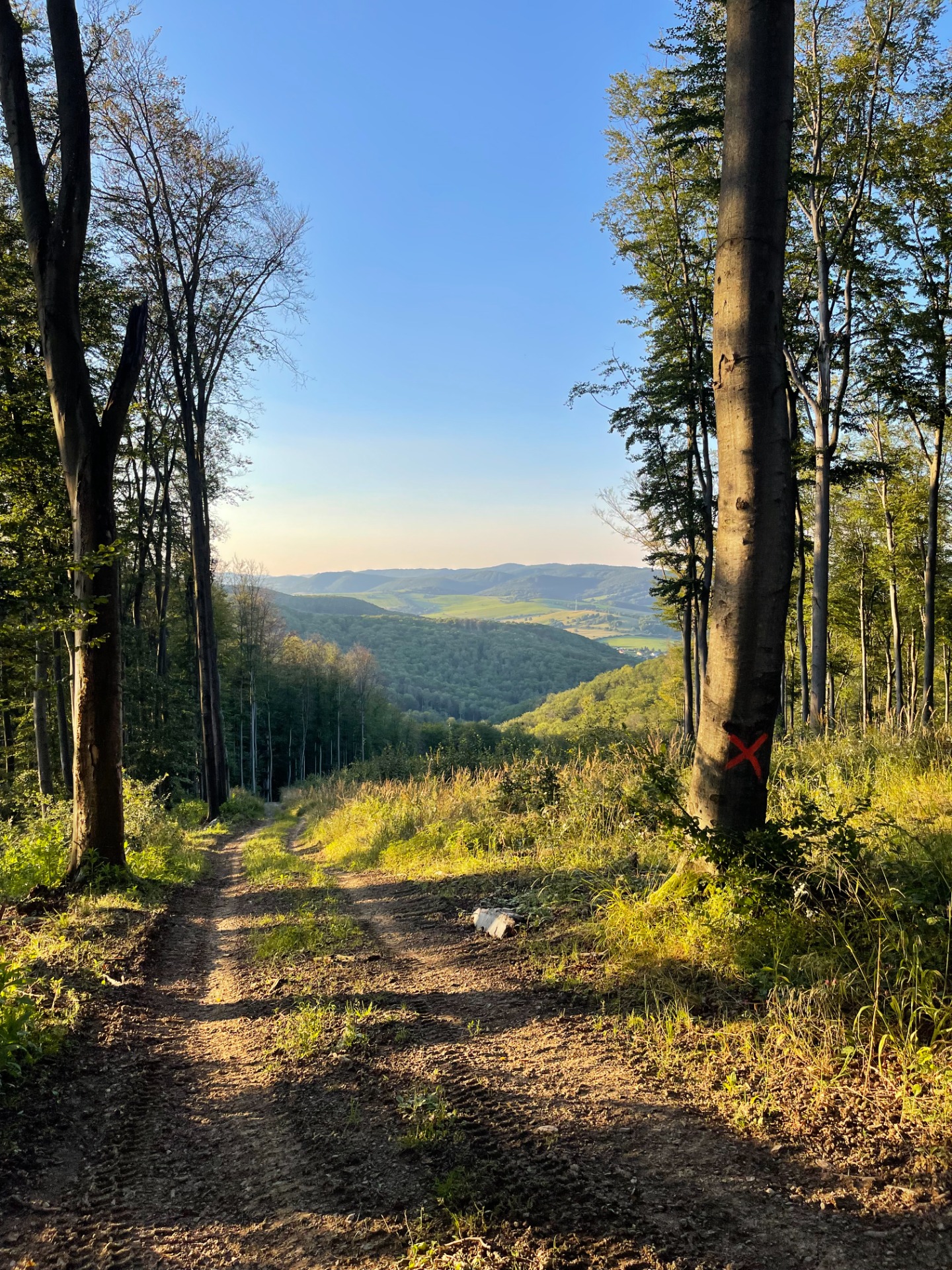 Cyklotrasy Levočské vrchy – stovky km značených trás📍 priamo z drevenice
